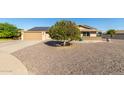 Landscaped front yard with gravel and a large citrus tree at 10425 N Balboa Dr, Sun City, AZ 85351