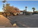 Ranch style home with a large front yard and mature palm trees at 6821 E Valley Vista Ln, Paradise Valley, AZ 85253