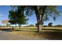 Landscaped golf course with trees and walking path at 10334 W Highwood Ln, Sun City, AZ 85373