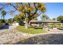 Ranch style home with tree lined street and grassy yard at 618 W Palmaire Ave, Phoenix, AZ 85021