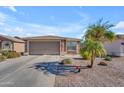 Single-story home with a two-car garage and palm trees at 6441 S Granite Dr, Chandler, AZ 85249