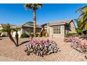 Front yard features stone accents, a variety of desert plants, and palm trees at 16502 W Arroyo Ct, Surprise, AZ 85374