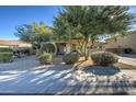 House exterior with front yard, driveway, and landscaping at 15039 W Highland Ave, Goodyear, AZ 85395