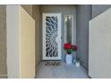 Front entry with decorative metal door and potted plants at 1792 W Loemann Dr, San Tan Valley, AZ 85144