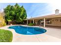 Backyard oasis with a sparkling pool, covered patio, and lush greenery at 418 W Bentrup St, Chandler, AZ 85225