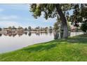 Scenic lakefront view with lush green grass and trees at 5200 S Lakeshore Dr # 204, Tempe, AZ 85283