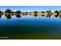 Scenic lake view with reflections of houses and palm trees at 2042 N 109Th Ave, Avondale, AZ 85392