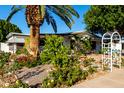 Inviting front yard with palm tree, vibrant flowers, and decorative gate at 5502 E Baywood Ave, Mesa, AZ 85206