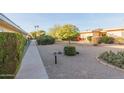 Attractive desert landscaping with a variety of plants and paved pathways at 14015 N 111Th Ave, Sun City, AZ 85351