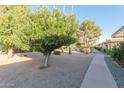 Lush green community landscaping with mature trees and paved walkways at 14015 N 111Th Ave, Sun City, AZ 85351