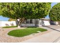 Front yard with green grass, trees, and a paved driveway leading to a two-car garage at 2280 E Stephens Pl, Chandler, AZ 85225