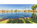 Scenic community lake with ducks and palm trees at 10214 E Michigan Ave, Sun Lakes, AZ 85248