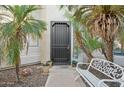 Inviting front entry with a decorative bench and potted plants at 755 E Orchid Ln, Gilbert, AZ 85296