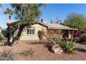 Light green house with mature trees and desert landscaping at 2146 E Whitton Ave, Phoenix, AZ 85016