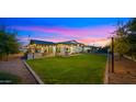 Expansive backyard with a covered patio, string lights, and a spacious lawn at 17870 E Appaloosa Dr, Queen Creek, AZ 85142