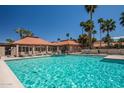 Inviting community pool with surrounding lounge chairs and palm trees at 7000 N Via Camello Del Sur -- # 37, Scottsdale, AZ 85258