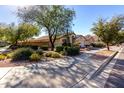 House exterior showing a landscaped yard and walkway at 3949 E Monona Dr, Phoenix, AZ 85050