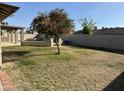 Landscaped backyard with fruit tree and pool at 4643 W Laurel Ln, Glendale, AZ 85304