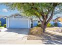 Light blue home with mature tree and walkway at 6819 E Grandview Dr, Scottsdale, AZ 85254