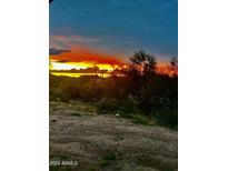 Stunning desert sunset view with cacti and shrubs at 397Xx N 3Rd St, Phoenix, AZ 85086