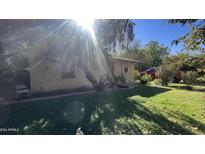 Single story home with a yard at 915 W Tamarisk St, Phoenix, AZ 85041
