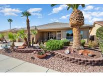 Well-maintained front yard with mature landscaping at 18059 W Hickcox Dr, Surprise, AZ 85374