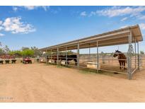 Covered horse stables with multiple stalls and dirt flooring at 50458 W Mayer Blvd, Maricopa, AZ 85139