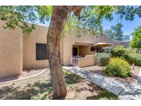 Cute stucco home exterior with walkway, mature tree, and patio seating at 14300 W Bell Rd # 505, Surprise, AZ 85374