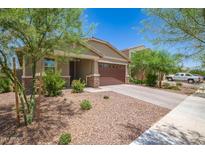 Well-maintained front yard with mature trees and a gravel driveway at 17864 W Fetlock Trl, Surprise, AZ 85387