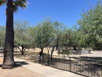 Front yard with trees, gate, and sidewalk at 1522 W Fillmore St, Phoenix, AZ 85007