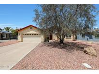 Single story home with a driveway and mature tree at 822 W Earll Dr, Phoenix, AZ 85013