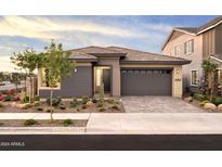 Modern single story home with 2 car garage at 22511 E Saddle Ct, Queen Creek, AZ 85142