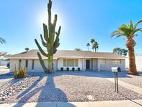 Ranch style home with desert landscaping and a large saguaro cactus at 501 W Jasper Dr, Chandler, AZ 85225