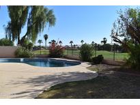 Inviting kidney-shaped pool with a golf course view at 21956 N 59Th Ln, Glendale, AZ 85310