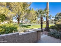 Landscaped front yard with lush greenery and golf course view at 14300 W Bell Rd # 35, Surprise, AZ 85374