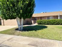 Ranch-style home with a well-manicured lawn and mature trees at 10509 W Tropicana Cir, Sun City, AZ 85351