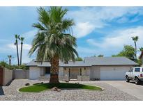 Single-story home with a large palm tree and landscaped front yard at 4838 W Christine Cir, Glendale, AZ 85308