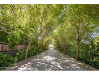 Long driveway leading to the house, lined with lush trees at 6644 E Exeter Blvd, Scottsdale, AZ 85251