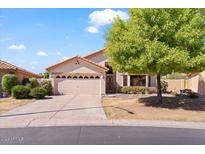 Single story house with garage and landscaping at 19132 N 95Th Ave, Peoria, AZ 85382