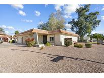 Single-story home with attractive landscaping and a two-car garage at 11405 S Tawa Ln, Phoenix, AZ 85044