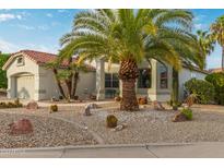 Charming single story home with a well maintained front yard at 17800 W Primrose Ln, Surprise, AZ 85374