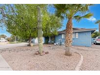 Charming home with a manicured front yard, featuring desert landscaping and mature trees at 2349 W Del Campo Cir, Mesa, AZ 85202