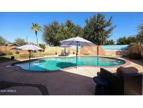 Refreshing kidney-shaped pool with colorful accents and patio furniture at 14586 W Columbus Ave, Goodyear, AZ 85395