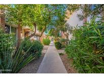 Landscaped walkway with lush greenery leads through the community at 4848 N Woodmere Fairway -- # 15, Scottsdale, AZ 85251