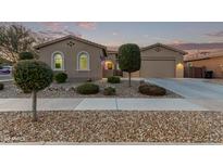 Single-story home with landscaping and a two-car garage at 23680 N 168Th Ln, Surprise, AZ 85387