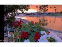 Sunset view over a canal with vibrant flowers at 2234 W San Juan Cir, Apache Junction, AZ 85119