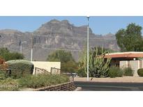 View of condo complex with mountain views and landscaping at 1440 N Idaho Rd # 2041, Apache Junction, AZ 85119