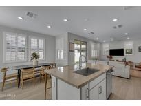 Open concept kitchen with island, stainless steel appliances, and light cabinets at 4845 S Ferric Dr, Mesa, AZ 85212