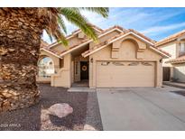 Tan house with a two-car garage and a palm tree in the front yard at 3333 E Nighthawk Way, Phoenix, AZ 85048