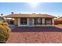 Ranch-style home with carport and mature landscaping at 1621 W Stottler Dr, Chandler, AZ 85224